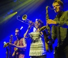 Festival Felabration | Jungle by Night | Doornroosje Nijmegen