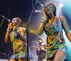 Festival Felabration | Seun Anikulapo Kuti & Egypt 80 | Doornroosje Nijmegen