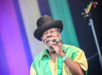 ly6a5786