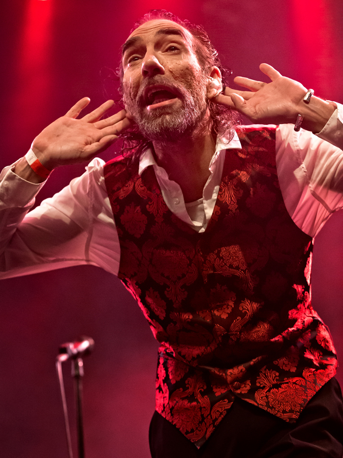 Shantel Bucovina Club Orkestar || Photo: © Rijno Boon