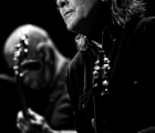 Jimmy LaFave & Band || Photo: © Rijno Boon