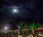 img_7341