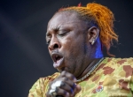 Reggae Sundance Elephant Man