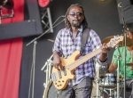 Reggae Sundance Elephant Man