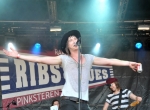 Ribs & Blues 2014