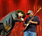 Noordpool Orkest | Waylon