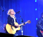 The Common Linnets