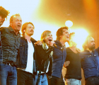 The Common Linnets