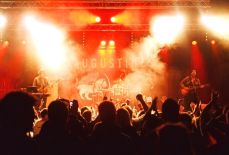 Festival The Brave