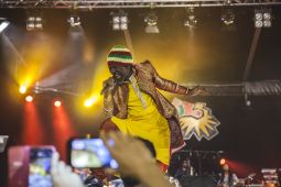 Reggae Lake Festival